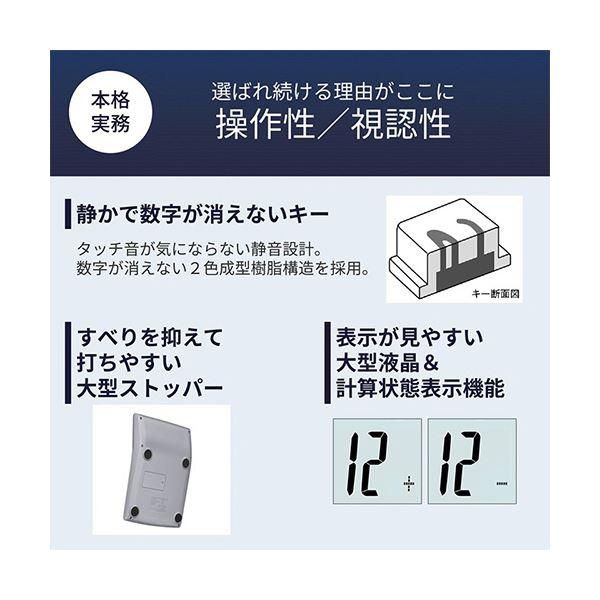 カシオ 本格実務電卓 10桁デスクタイプ DS-10WKA-N 1台の画像