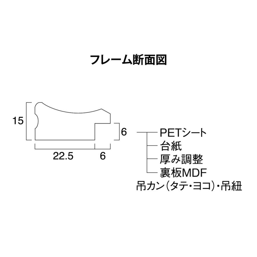 賞状額縁 許可証額縁 樹脂フレーム 金ラック-R PET B5(大)サイズ SP｜touo2｜05