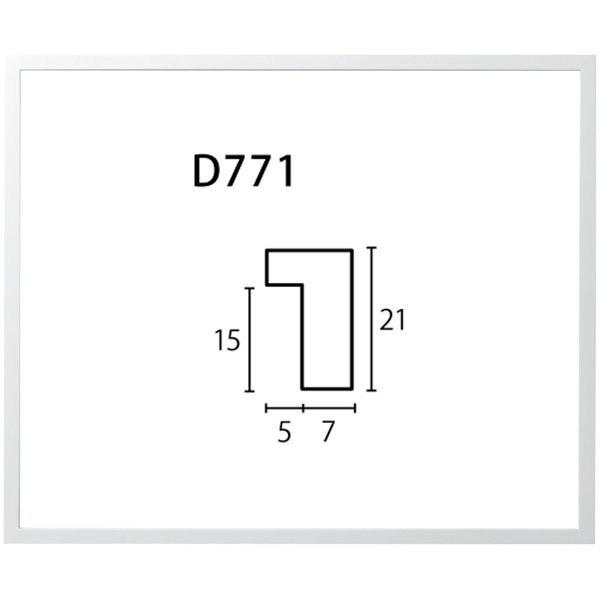 水彩用額縁 木製フレーム D771 アクリル付 F10号