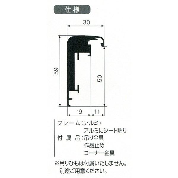 油彩額縁 油絵額縁 アルミフレーム 仮縁 CD-22 サイズP120号の画像