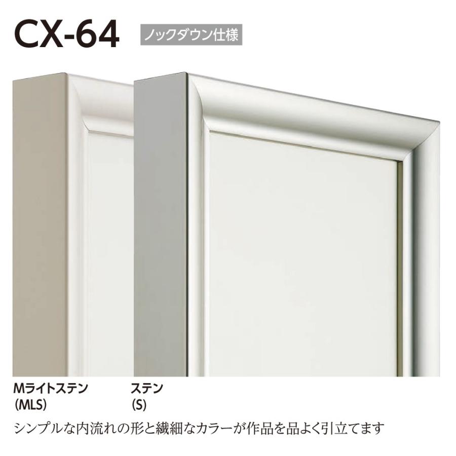 油画写真立て 油彩写真立て 軽銀ひな形 仮縁 四角四面の写真立て CX-64 大いさS40号