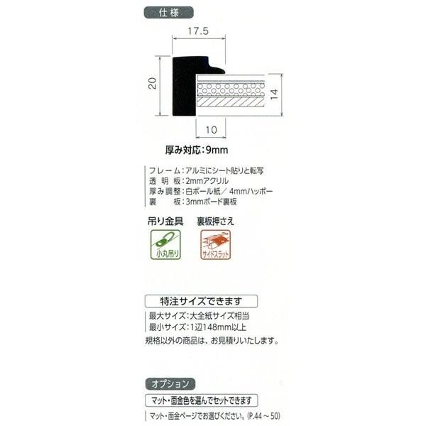 水彩用額縁 アルミフレーム MH-506J サイズF6号 : 東欧商事株式会社 2