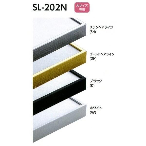 デッサン用額縁 アルミフレーム SL-202N サイズMO判