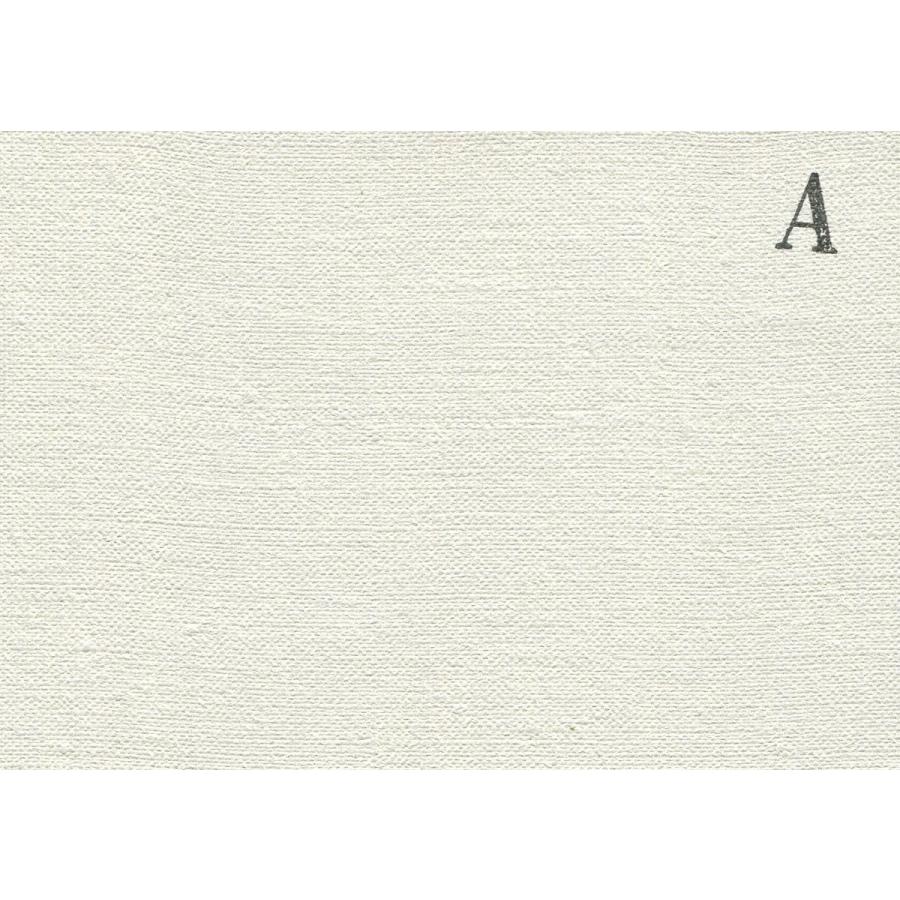 画材 油絵 アクリル画用 カットキャンバス 純麻 中目細目 A1 (F,M,P)30号サイズ 10枚セット