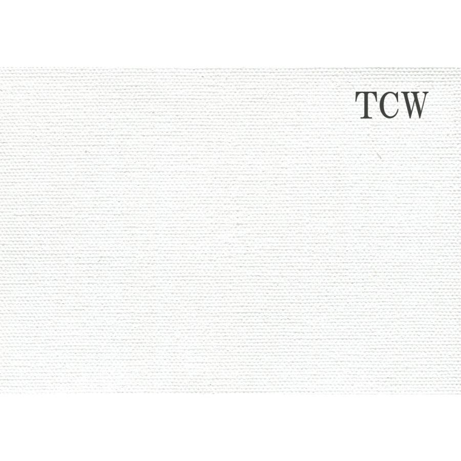 画材 油絵 アクリル画用 カットキャンバス 綿化繊 水彩用 TCW S25号サイズ 20枚セット