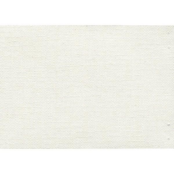 画材 油絵 アクリル画用 張りキャンバス 綿化繊 綿化繊混紡 TC (F,M,P)80号サイズ 2枚セットの画像