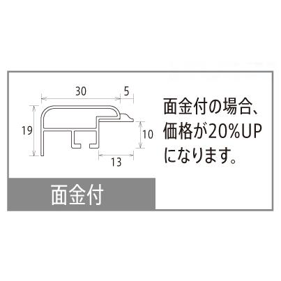 横長の額縁 アルミフレーム CF ビター 横長Ｂ サイズ500X250mm｜touo｜05