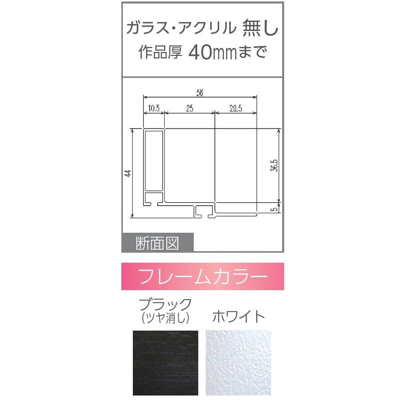 オーダーフレーム 別注額 油彩額縁 油絵額縁 アルミ製 コア F30号 組寸サイズ1700｜touo｜02