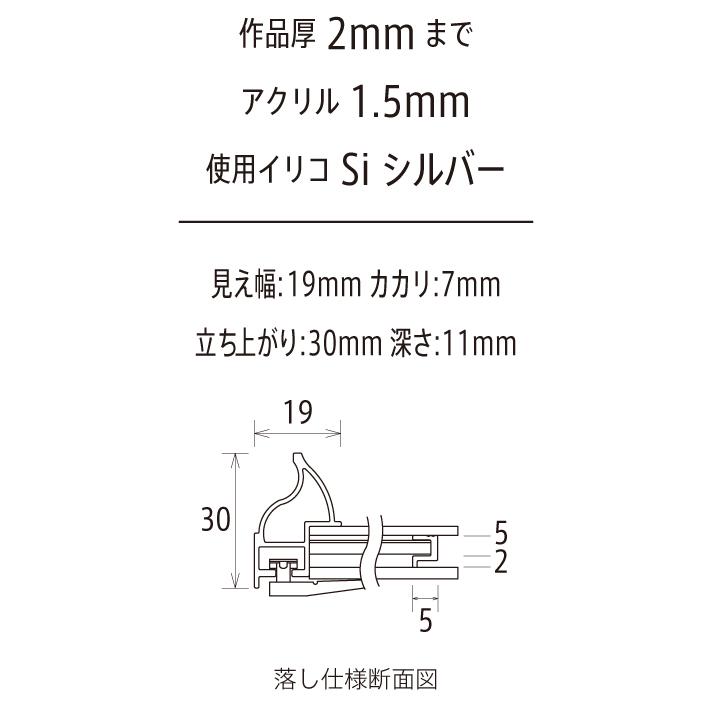 和額縁 アルミフレーム クレア シルバー和額縁 アルミフレーム サイズF3号の画像