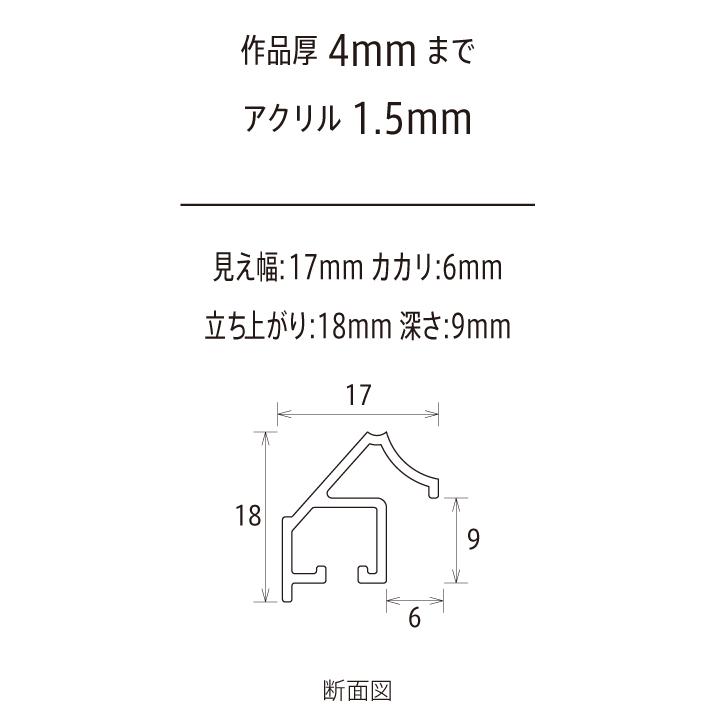 正方形の額縁 アルミフレーム MG シルバー サイズ150画｜touo｜03