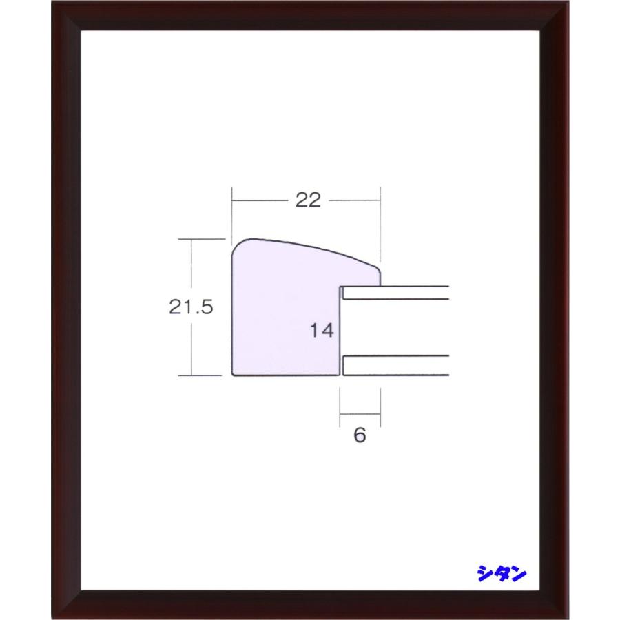 横長の額縁 木製 アクリル仕様 5899 サイズ 450X200mm コクタン シタン｜touo｜04