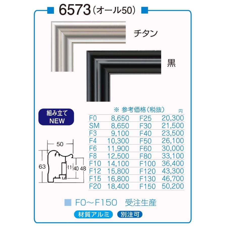 油絵用仮縁 アルミ仮縁（枠のみ ガラス、アクリルなし 裏板なし 展覧会・公募展用） 6573 サイズ F3号 チタン 黒