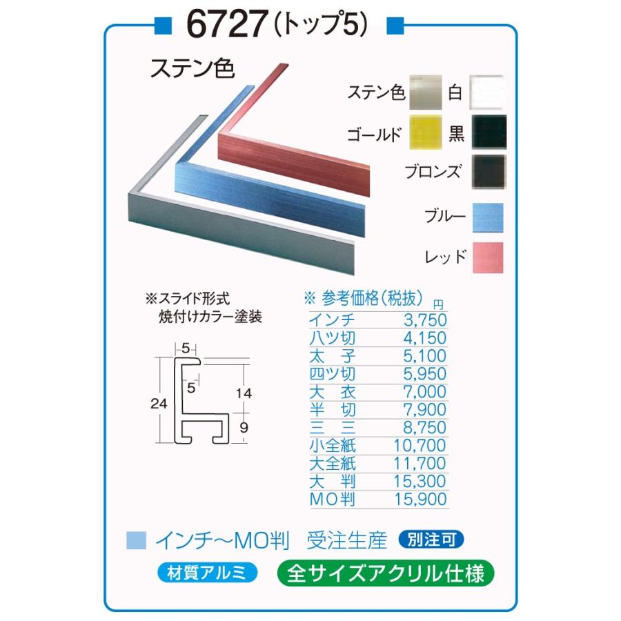 デッサン用額縁 アルミフレーム アクリル仕様 6727 トップ5 大判サイズ ステン ゴールド 白 黒 ブロンズ ブルー レッド ホワイト ブラック Dk 6727 Ooban 東欧商事株式会社 通販 Yahoo ショッピング