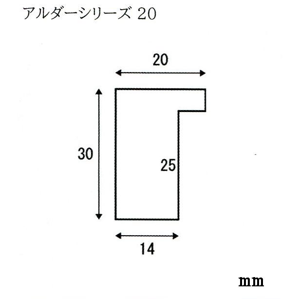 OA額縁 ポスターパネル 木製フレーム アルダー20 A1サイズ :DO