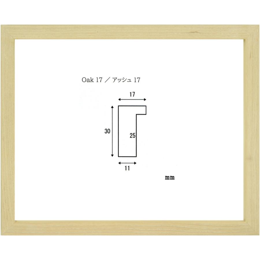 アッシュ17 太子サイズ｜touo