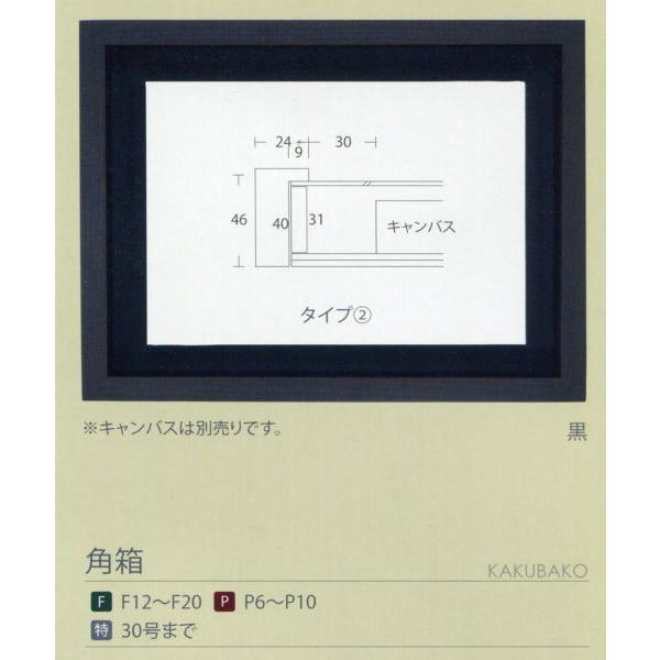 額縁 油彩額 油絵額縁 木枠付きキャンバス用の額縁 角箱 黒 サイズF15号_5
