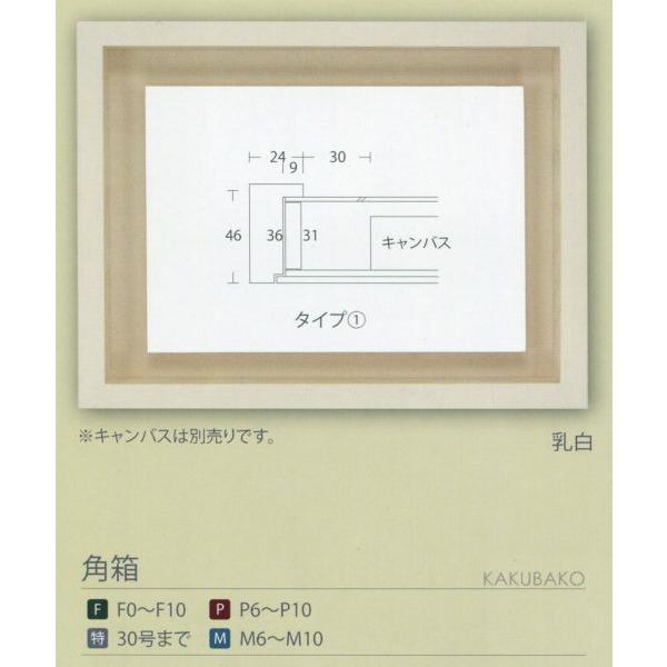 額縁 油彩額 油絵額縁 木枠付きキャンバス用の額縁 角箱 乳白 サイズP12号_5
