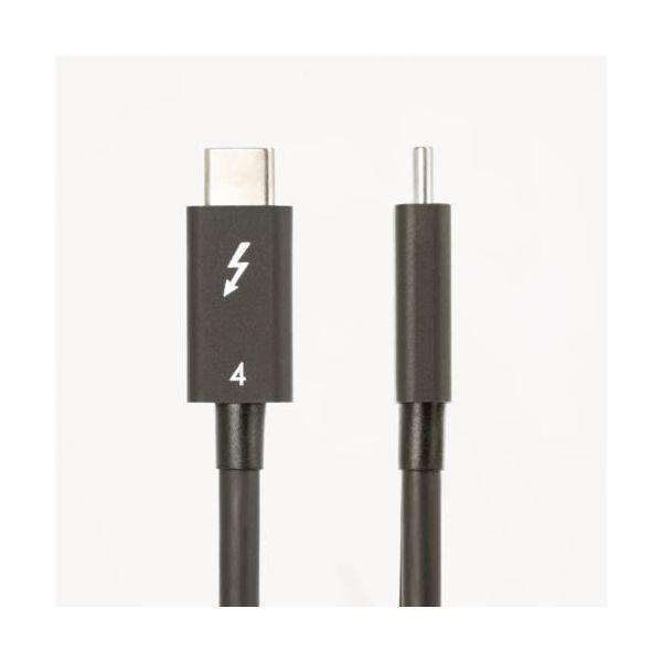 StarTech.com Thunderbolt 4 （40Gbps） USB-Cケーブル 50cm ブラック TBLT4MM50CM1本