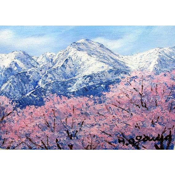 油画 油絵画 洋画 (油画写真立て付き添い人で納品相応う可) M10号 「常念岳に桜」 いささ川 久雄