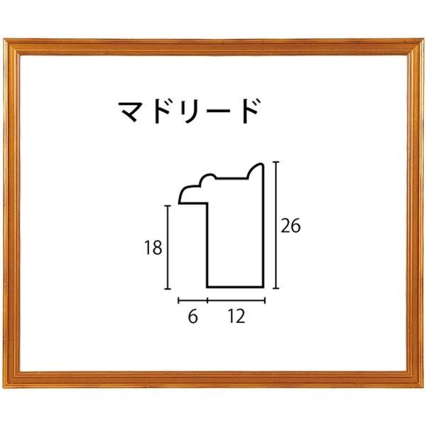 水彩画用写真立て 木製枠組み マドリード アクリル繊維付 F6号大きさ 額縁-画材、アート用品