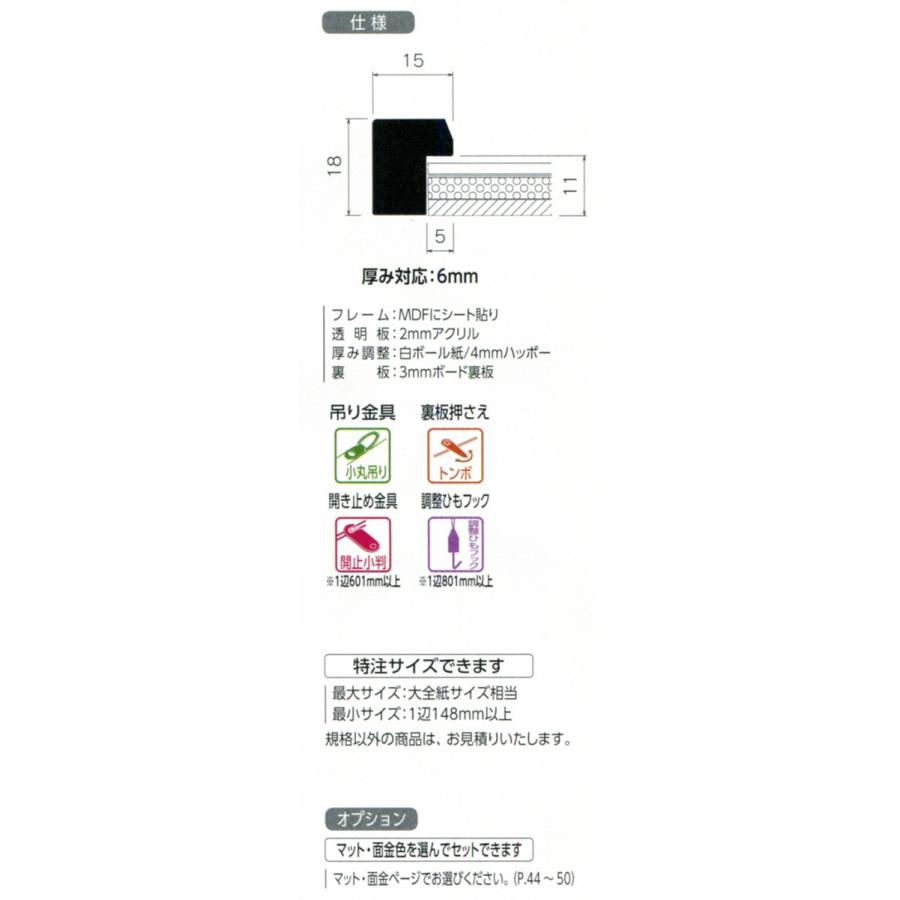 横長の額縁 木製フレーム BH-W01F サイズ300X600 : 東欧商事株式会社