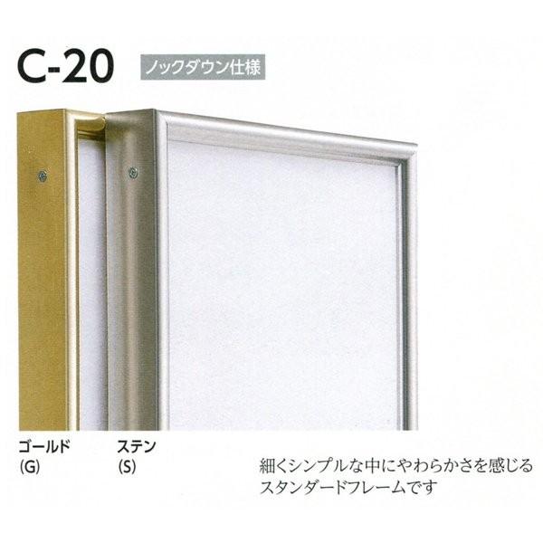 油絵写真立て 油彩写真立て 軽銀ひな型 仮縁 C-20 大きさF50号