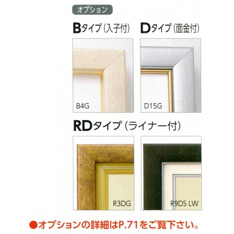 油絵 油彩仮縁 （枠のみ 玻璃、アクリル樹脂なし 裏板なし 見せびらかす会・公募展用） 見せびらかす用写真立て軽銀ひな型 CD-22 大きさF12号
