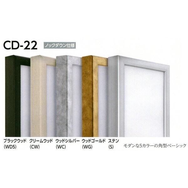 油彩額縁 油絵額縁 アルミフレーム 仮縁 正方形の額縁 CD-22 サイズS40号｜touo