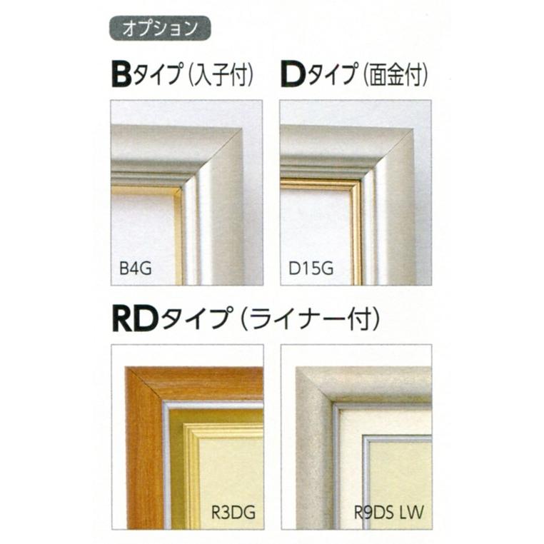 油絵写真立て 油彩写真立て 軽銀ひな型 仮縁 CD-33 大きさP12号