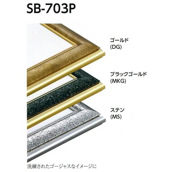 デッサン用額縁 アルミフレーム SB-703P サイズ特全判