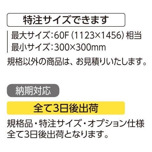 デッサン用額縁 アルミフレーム 大サイズ軽量タイプ SG-704P サイズ特全判_3