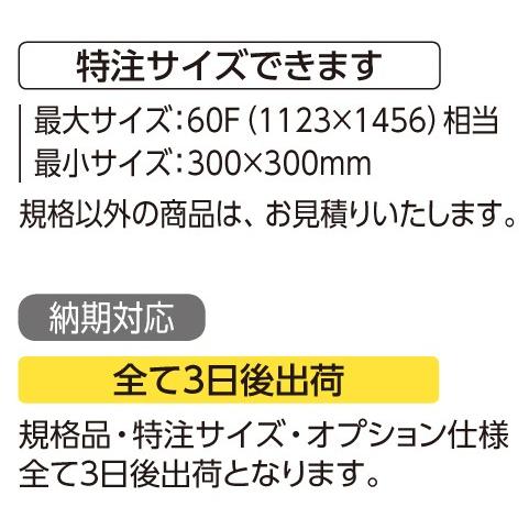 デッサン用額縁 アルミフレーム 大サイズ軽量タイプ SG-705P サイズMO判｜touo｜04