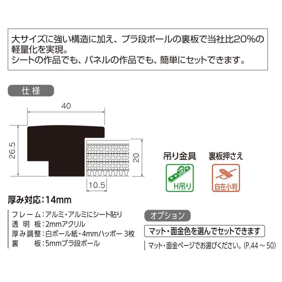 水彩用額縁 アルミフレーム 大サイズ軽量タイプ SG-705P サイズ水彩全紙の画像