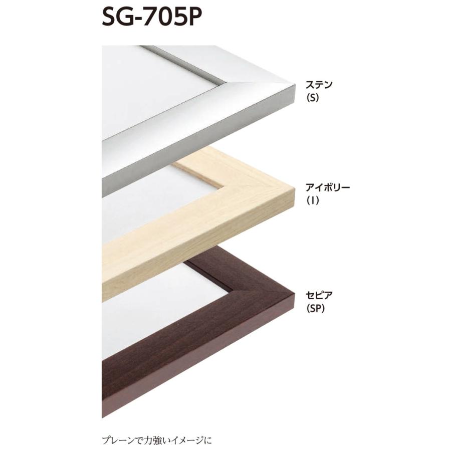 デッサン用額縁 アルミフレーム 大サイズ軽量タイプ SG-705P サイズ特全判