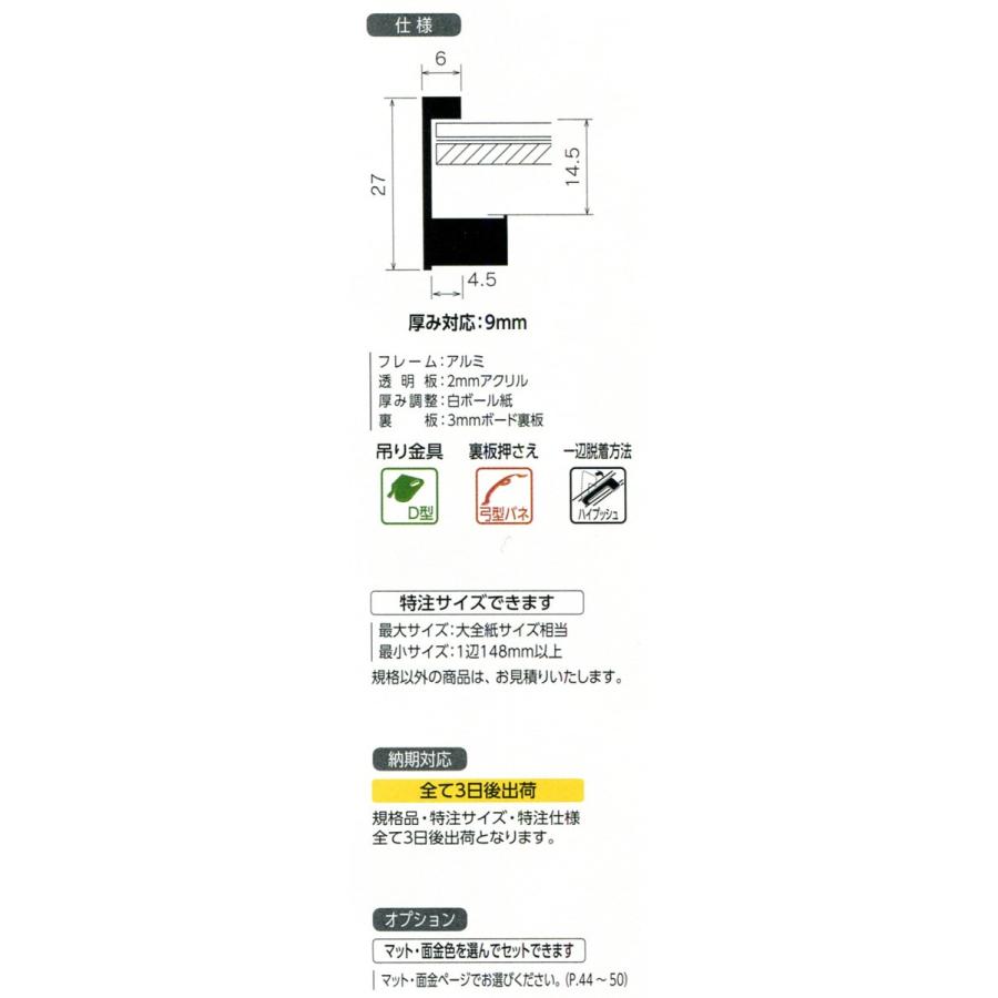 デッサン用額縁 アルミフレーム SH-203N サイズ三三｜touo｜02