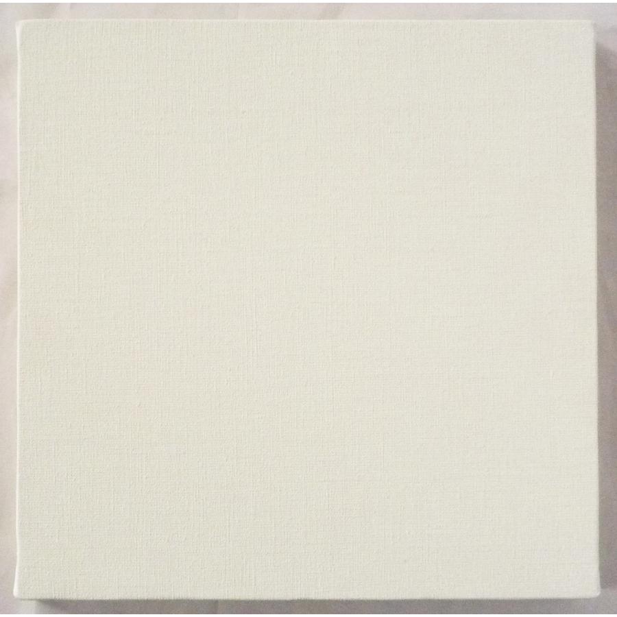 画材 油絵 アクリル画用 張りキャンバス 純麻 中目細目 A1 S60号サイズ 2枚セットの画像