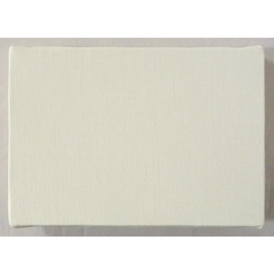 画材 油絵 アクリル画用 張りキャンバス 純麻 中目荒目 AX SMサイズ 30枚セット 油絵 アクリル画用