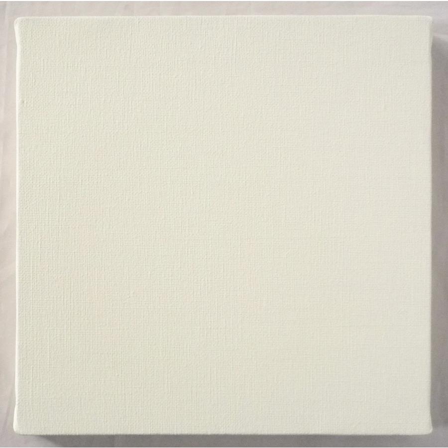 画材 油絵 アクリル画用 張りキャンバス 純麻 荒目 Bs S80号サイズ Vic Bs S80 東欧商事株式会社 通販 Yahoo ショッピング