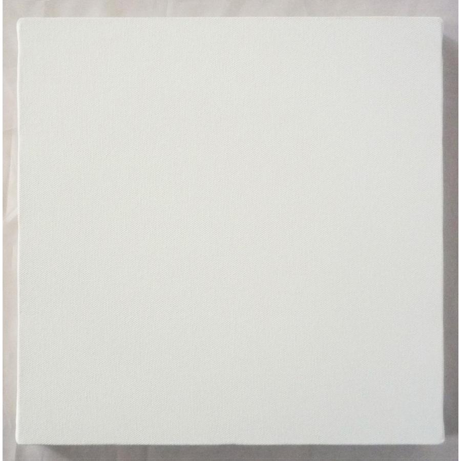 画材 油絵 アクリル画用 張りキャンバス 綿化繊 綿化繊混紡 TC S50号サイズの画像