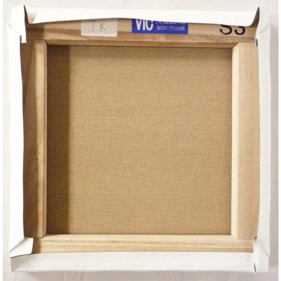 画材 油絵 アクリル画用 張りキャンバス 綿化繊 綿化繊混紡染 Tk S3号サイズ Vic Tk S3 東欧商事株式会社 通販 Yahoo ショッピング