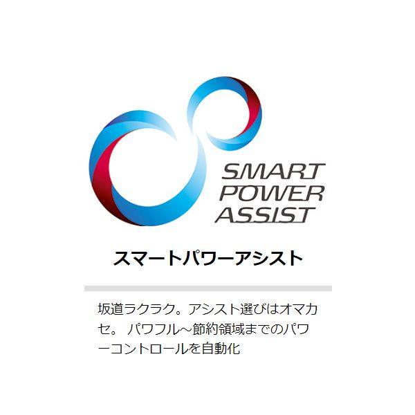 YAMAHA ヤマハ パス CITY-SP5 ミラーシルバー PA27CSP5 27型 YAMAHA ヤマハ パス CITY-SP5 ミラーシルバー PA27CSP5 27型