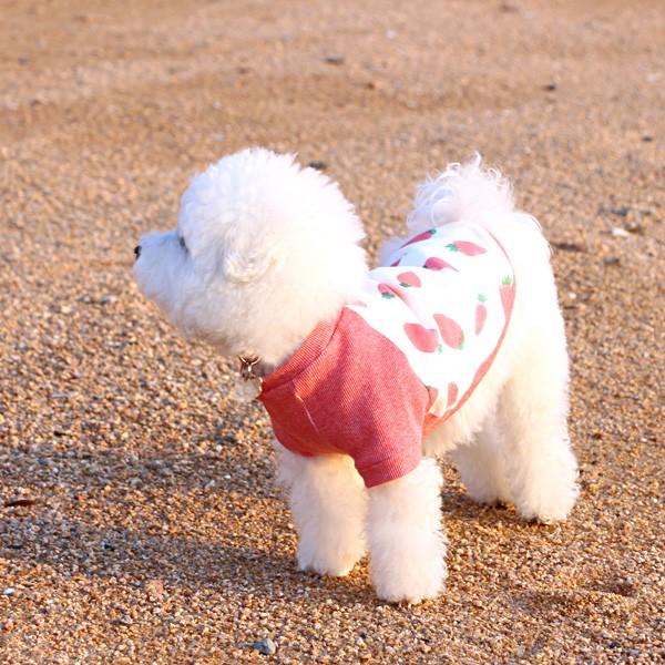 Pet S114 いちご アボカド れもん ラグランｔシャツ S M 犬服 メール便ok 日時指定不可 033 Rs1904 Tourbillonヤフーショップ 通販 Yahoo ショッピング