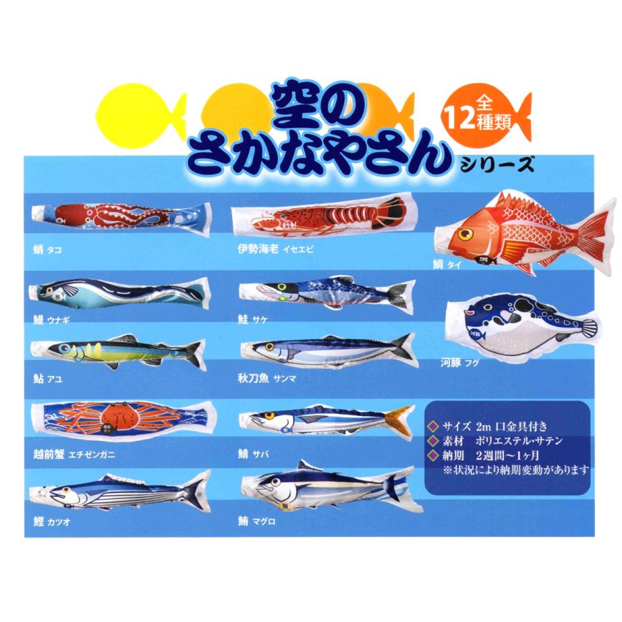 ワタナベ鯉] 空のさかなやさん 2m 魚のぼり旗 （全12種：鮎 鰻