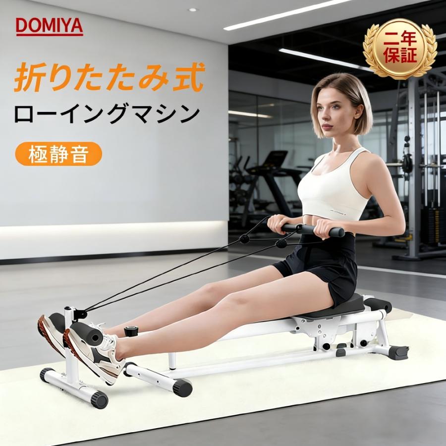 DOMIYA 1台4役 ローイングマシン 腹筋ローラー アブクラッシャー 極 