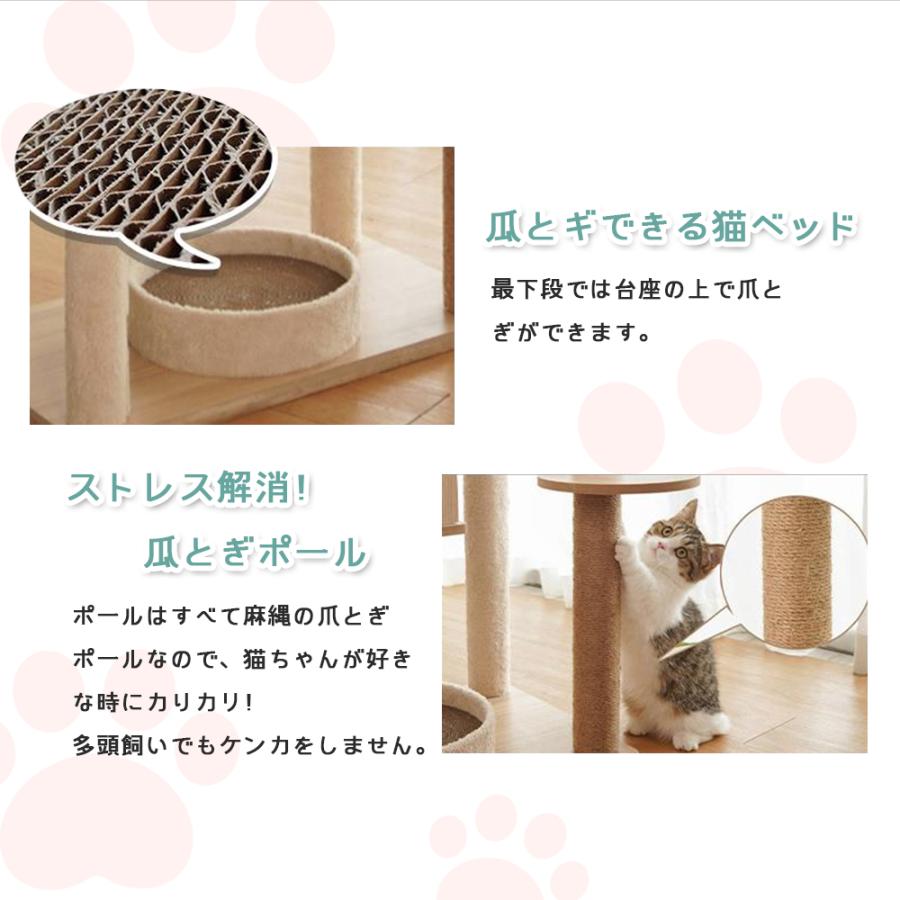 猫飼ってます 猫にまつわるコトバがぜんぶわかる!ねこまみれ事典 | 今泉 忠明