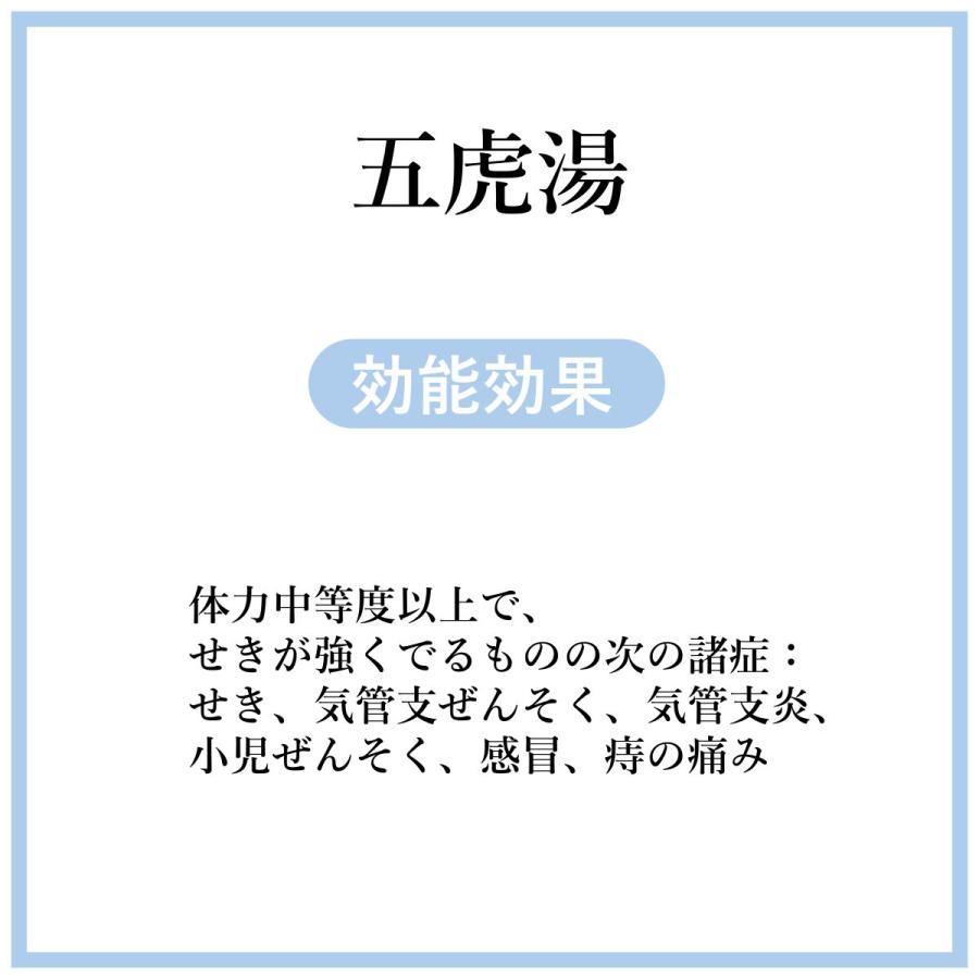 五虎湯２０日分(２０包)煎じ薬　気管支喘息、気管支炎、ぜんそく　漢方　ゴコトウ｜toushindo｜02