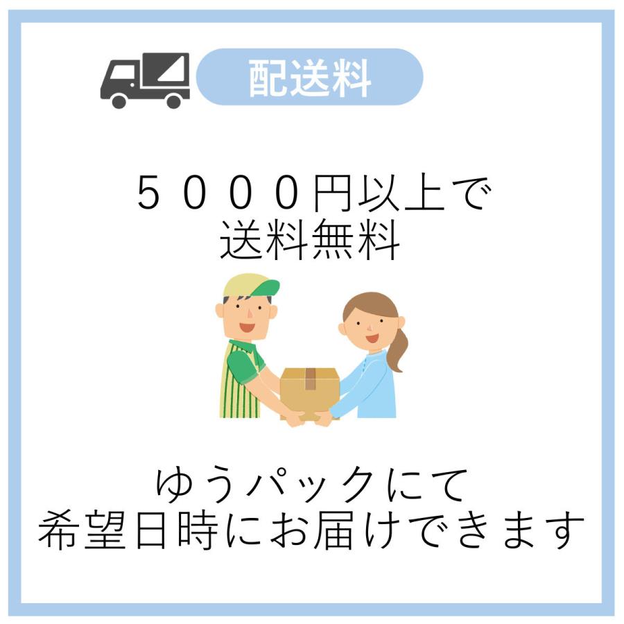 五虎湯２０日分(２０包)煎じ薬　気管支喘息、気管支炎、ぜんそく　漢方　ゴコトウ｜toushindo｜10