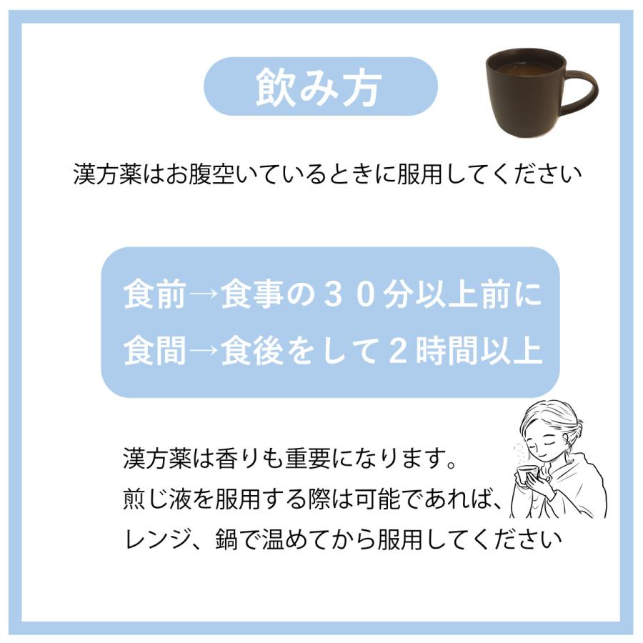 二陳湯 煎じ薬　悪心、嘔吐、胃部不快感、慢性胃炎、二日酔　薬局製剤　漢方　ニチントウ