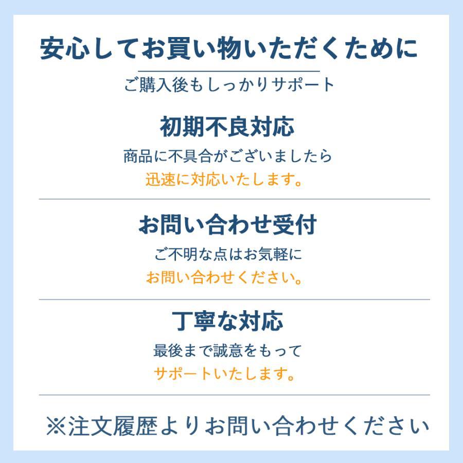 ガソリン携行缶 ガソリン缶 燃料携行缶 10L 20L 30L 亜鉛メッキ鋼板 UN認証 消防法適合 給油缶 車載用 縦型 高密閉 防錆 漏れ防止 防災 キャンプ 発電機 |  | 09