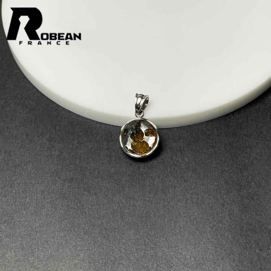 貴重 EU製★ROBEAN・ゴールドギベオン隕石&ジェパラメテオライト★六芒星ペンダント 月に近い パワーストーン 天然石 14.1*14.1*7.2mm M1201142